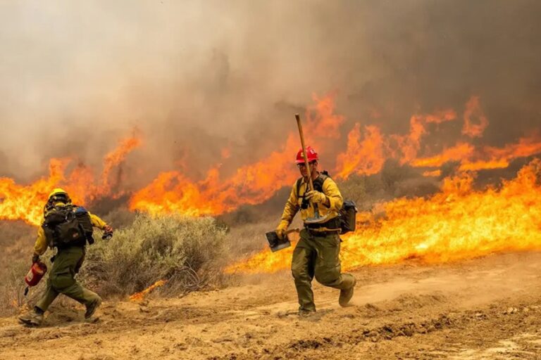 カリフォルニア州、今年最大の山火事と闘う