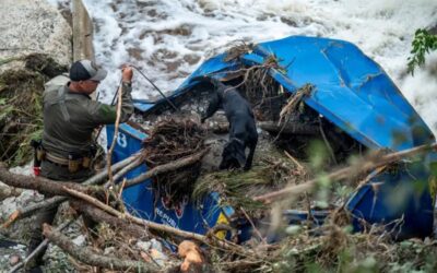 テキサス州の洪水で81人死亡、数十人行方不明