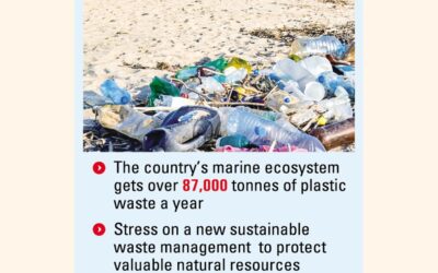海洋生態系を脅かすプラスチック汚染