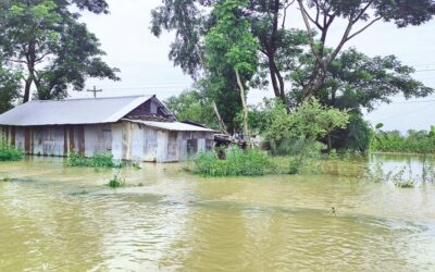 21地区の広大な農地が水没