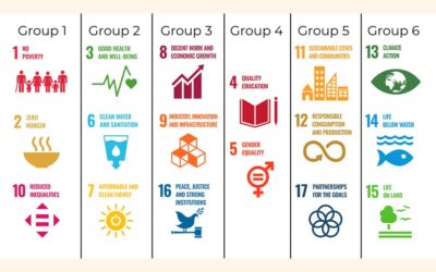 SDGsとより積極的なメディア関与の必要性