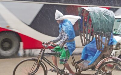 生活のために雨に耐える