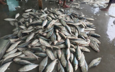 バングラデシュ、湾内で海洋調査を開始