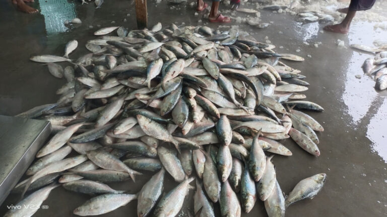 バングラデシュ、湾内で海洋調査を開始