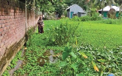 チャンドプルの2つの郡で浸水が続き、住民の苦悩が深刻化