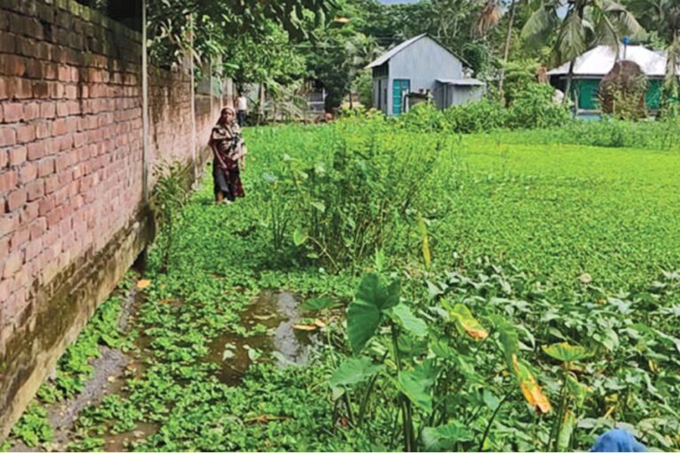 チャンドプルの2つの郡で浸水が続き、住民の苦悩が深刻化