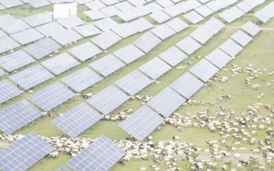 中国は排出量目標達成のため世界最大の太陽光発電所建設を急ぐ