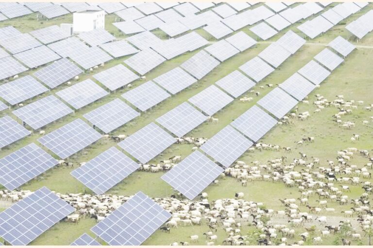 中国は排出量目標達成のため世界最大の太陽光発電所建設を急ぐ