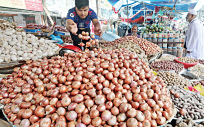 玉ねぎと野菜の価格は下落、魚は高止まり