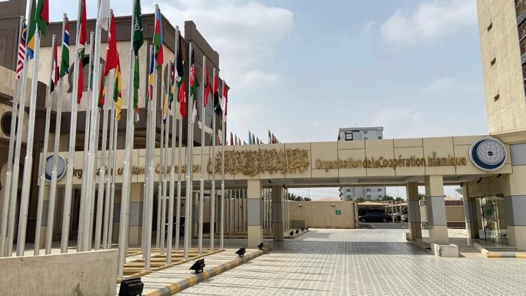 OIC、ロヒンギャへの残虐行為に対する正義の実現を改めて求める