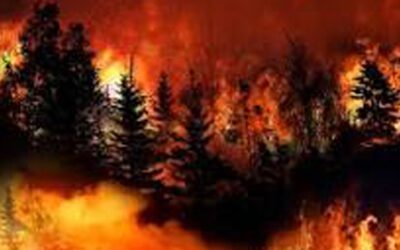 気候に起因する山火事が北米の汚染の進行を逆転させている
