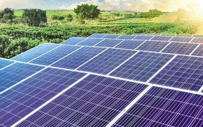政府はすべての国有ビルの屋上太陽光発電の設置に資金を提供する予定