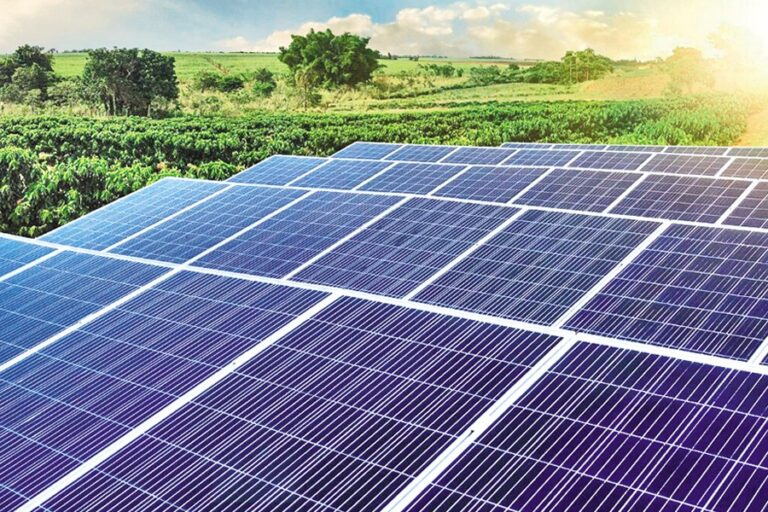 政府はすべての国有ビルの屋上太陽光発電の設置に資金を提供する予定
