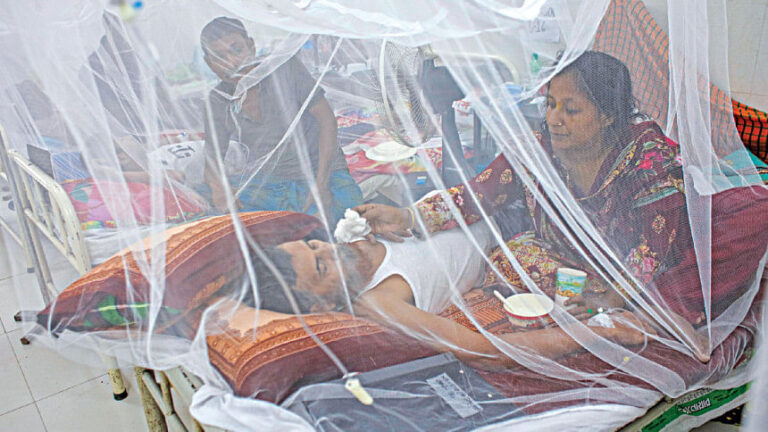 デング熱でさらに3人が死亡、428人が入院