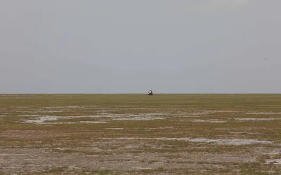 バングラデシュ、3つの島が出現・合併し新たな陸地の可能性