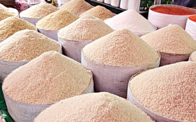 生産不足の中、米の輸入は7年ぶりの高水準に達した