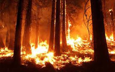 ヨーロッパの山火事で3人死亡