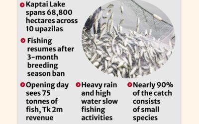 水揚げされた740トンの魚は1,640万タカの収益を生み出した