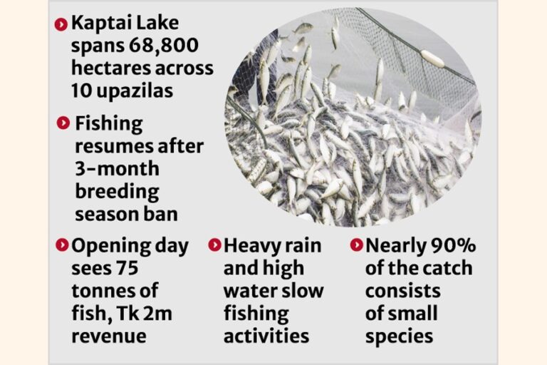 水揚げされた740トンの魚は1,640万タカの収益を生み出した