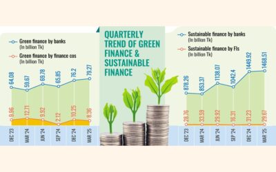 銀行、ノンバンク金融機関、グリーンファイナンス、サステナブルファイナンスの急増を報告