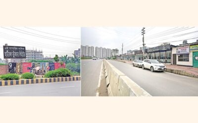 水域の死滅と無差別な侵略