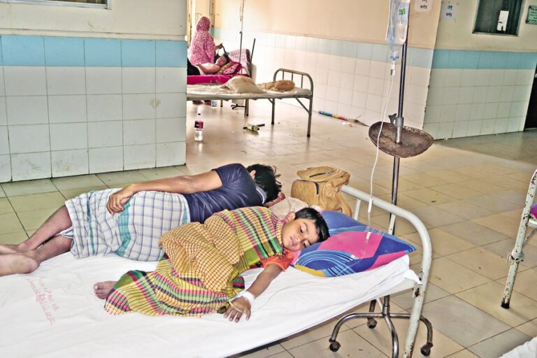 デング熱による死者9人、今年最多の1日当たり死者数