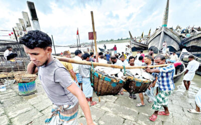 ヒルサは海の捕獲物が急落し、手の届かないところへ滑り落ちる