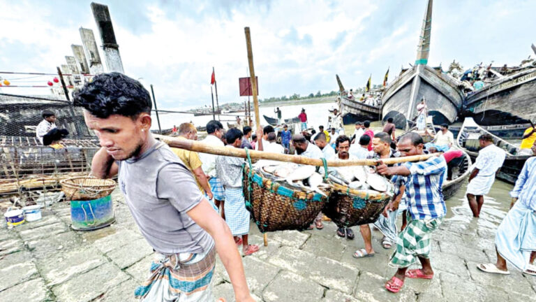 ヒルサは海の捕獲物が急落し、手の届かないところへ滑り落ちる