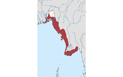 サンドウィップの忘れられた戦争