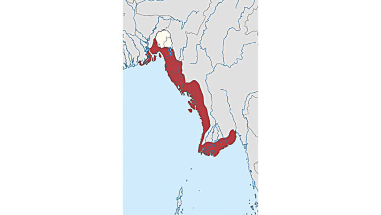 サンドウィップの忘れられた戦争