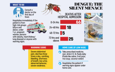 デング熱による死亡の主な原因は入院の遅れ