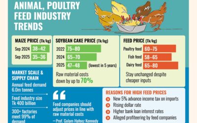 投入資材の低価格にもかかわらず飼料価格は高騰