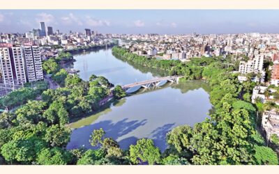 ハティルジールの様々な木の紅葉は緑が生い茂っている