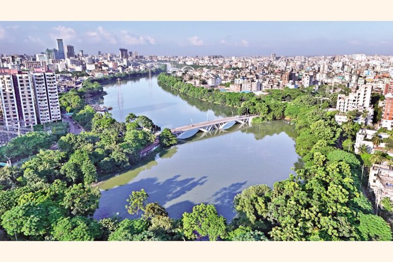 ハティルジールの様々な木の紅葉は緑が生い茂っている