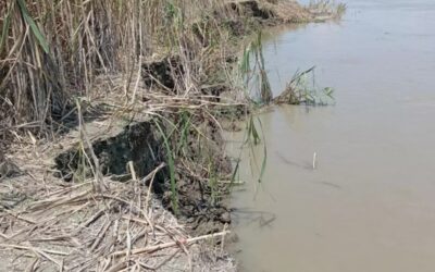 シラジガンジのジャムナ地区に50軒の家屋が消失、学校も危険