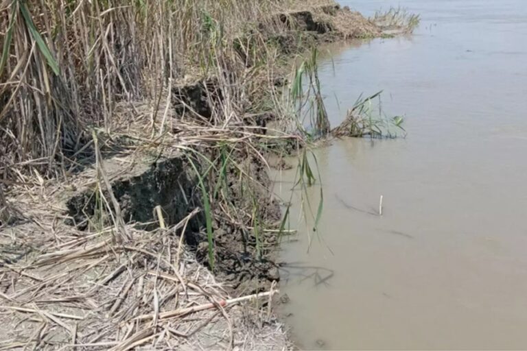 シラジガンジのジャムナ地区に50軒の家屋が消失、学校も危険