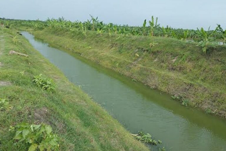 バリンドにおける灌漑の生命線としてサルマングラ運河が登場