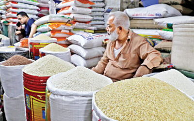 米価格は今後数ヶ月で下落する可能性がある：報告書