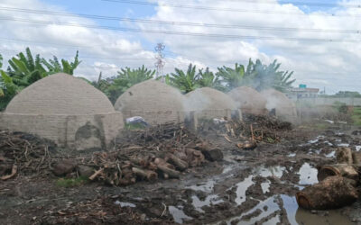 廃棄物の焼却がサバールを窒息させる