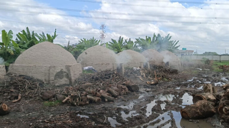廃棄物の焼却がサバールを窒息させる