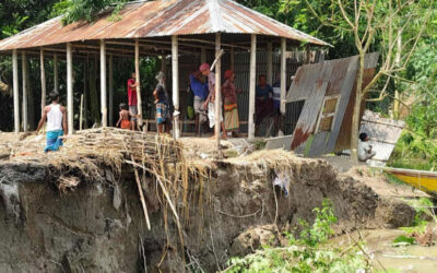 ジャムナ、シラジガンジの家20軒を食い荒らす