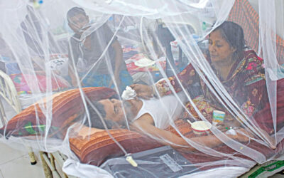 デング熱でさらに5人が死亡