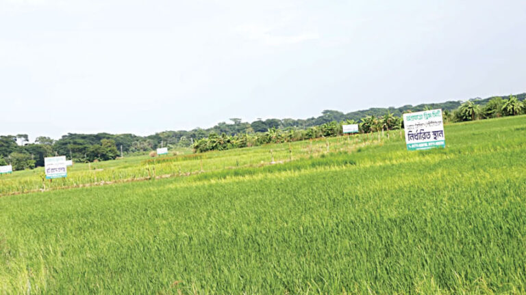 農地保護条例の検討も：アドバイザー