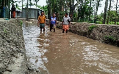 入札に敗れた請負業者が道路を掘り起こす