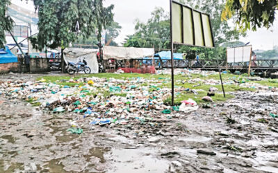 コワイは命をかけてあえぐ