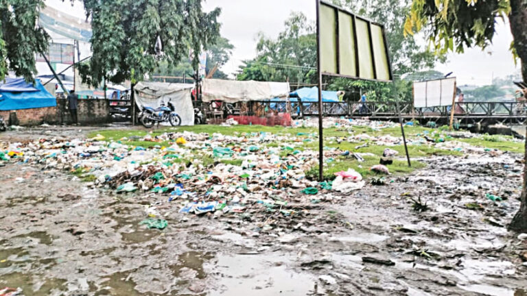 コワイは命をかけてあえぐ