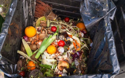 食べ物を無駄にしないために―バングラデシュは今行動を起こします！