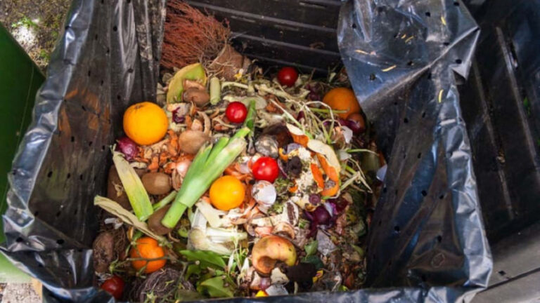 食べ物を無駄にしないために―バングラデシュは今行動を起こします！