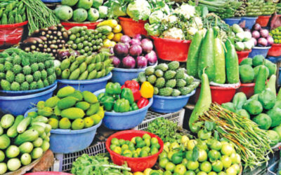 世帯の62％が収入の半分を食費に費やしている：BBS