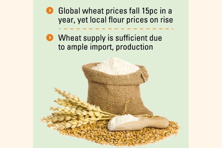 世界的な小麦価格の暴落で大企業が大きな利益を得る